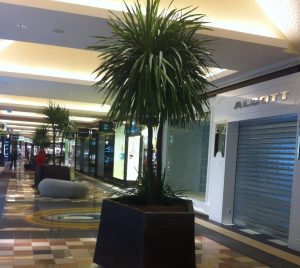 Verde Mall - Vasi in fibra di vetro (FILEminimizer)